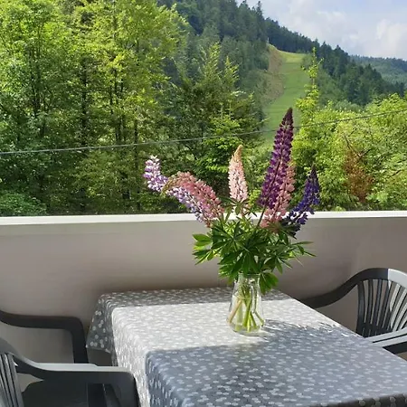 Appartement Les Oursons