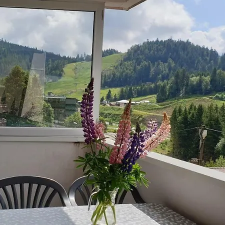 Les Oursons Appartement La Bresse