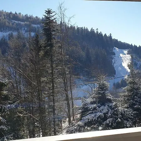 Appartement Les Oursons La Bresse